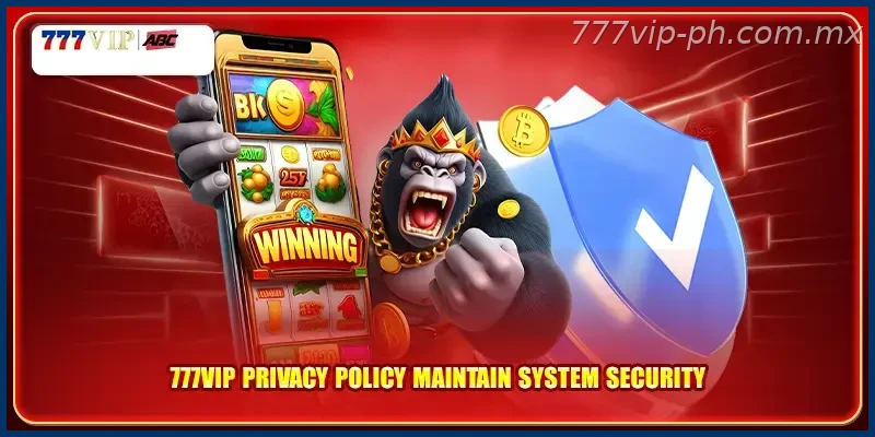 777VIP Privacy Policy maintain system security