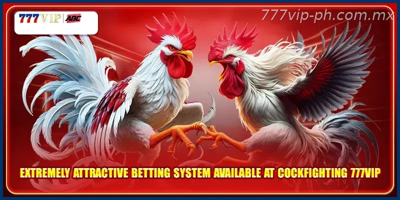 Extremely attractive betting system available at Cockfighting 777VIP