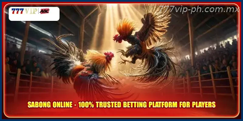 Sabong Online 100% Trusted Betting Platform for Players